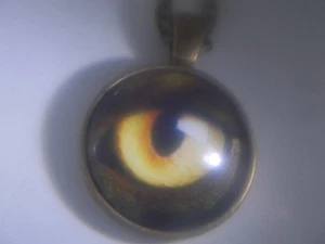 AWSOME! Very Nice Hollaween Dire Wolfs Eye Bronze Pendant & Necklace! - Picture 1 of 2