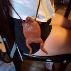 Sugar Cane Toad-Full-Body Purse Coin Pouch Made From Taxidermy Cane-Toad