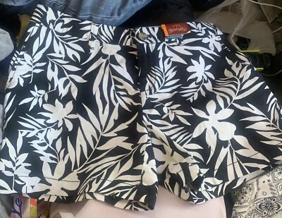 Pantalones Cortos Chinos Damas Faded Glory 5” Talla 8- Nuevos con Etiquetas   Foto 1 de 4