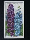 No.17 DELPHINIUMS Garden Flowers by W.D.& H.O. Wills Ltd 1933