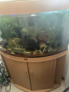 Juwel Aquarium - Bild 1 von 2