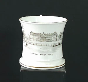 Staffordshire Porcelain Mug Worksop Manor transfer printed - Picture 1 of 16