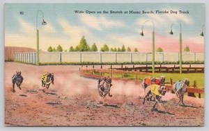Miami Beach Florida FL Wide Open on Stretch Dog Track Race Postcard - Picture 1 of 2