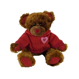 Dandee Valentine Teddybär Plüschtier 9 Zoll Stofftier Spielzeug rotes Herz Nase Hoodie - Bild 1 von 6