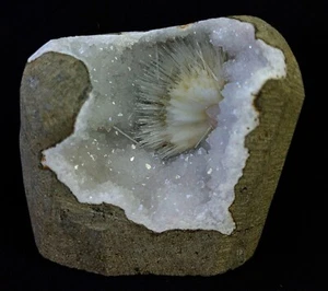 Scolecite Blow spray W/ MM Quartz in geode Formations minerals specimen - Picture 1 of 4