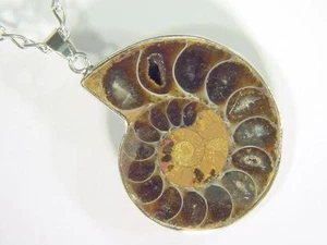 BUTW- Collar Colgante Plata Amonita Nautiloide 45 mm Joyería 4505D - Imagen 1 de 4