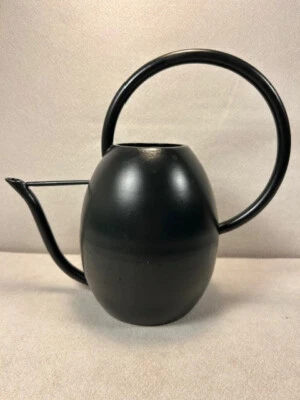 Regadera estilo contemporáneo/MCM (Negro) Foto 1 de 4