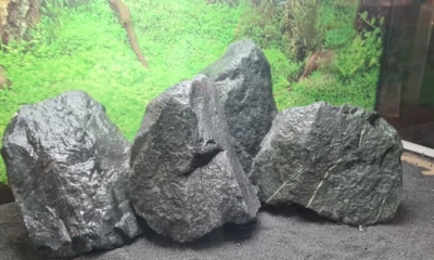 Aquarium Steine Basalt Malawi Aquascaping schwarz 12kg Paket Größe M 10-20cm - Bild 1 von 4