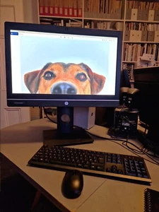 HP Compaq Elite All-in-One 222GB Solid State HD, 16GB RAM, 64 bit OS, Wifi LAN - Picture 1 of 1