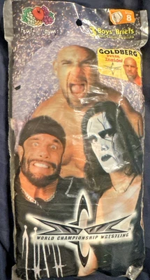 Vantage 1999 Funpals Boys Briefs Size 8 World Championship Wrestling Vintage New - Image 1 of 4