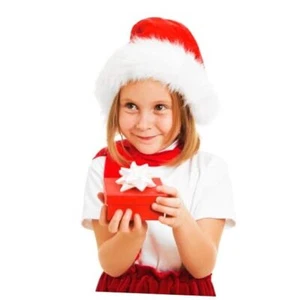 Red Santa Hat,Christmas Hat for Adults Unisex,Xmas Holiday Hat,Plush Kid Hat - Picture 1 of 7