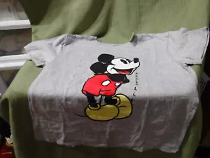 T-SHIRT DISNEY WOMEN'S SIZE LG, MICKEY MOUSE,GRAY, NEW WITH TAGS, SHORT SLEEVES - Picture 1 of 4