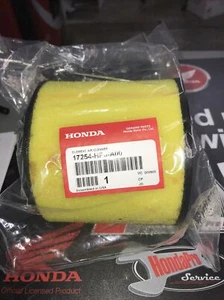 Honda 2006-2022 TRX680 Rincon Air Filter 17254-HP0-A00 Genuine Honda Part OEM - Picture 1 of 1