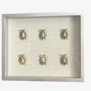 Messing Käfer Schattenkasten Wandbild - gerahmtes Insektenaufsteller - Bild 1 von 3