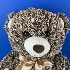 FAO SCHWARZ Bears That Care Teddy Bear 18" Stuffed Plush Animal 