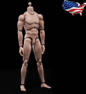 US 1/6 Male Figure Body Model Toy Standard Muscle Flexible For 12" Action w/Neck - Picture 1 of 9
