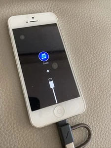 iPhone 5 - ➕➕Quality and Value - Afbeelding 1 van 18