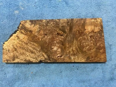 Maple Burl Billet Musical Charcuterie Board Blank   7/8" x 7 1/2" x 18"  #867 - Image 1 of 4