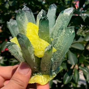 1.17LB New Find Green Phantom Quartz with Yellow sulfur Cluster Mineral Specimen - Picture 1 of 17