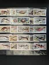 trade cards the fish we eat 1954 full set