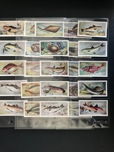 trade cards the fish we eat 1954 full set