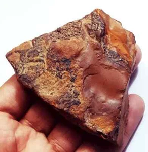 100% Natural Tiger Eye 550.70 Ct Rough Loose Gemstone Certified - Picture 1 of 6