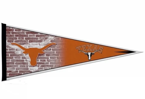 Texas Longhorns Pennant Cover