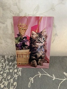 Vintage 1950s Carte Postale France Squeaker Squeaky Fluffy Kitten Postcard - Picture 1 of 5