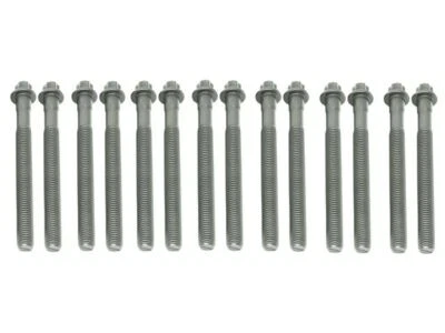 For 2001-2005 BMW 525i Head Bolt Set Victor Reinz 49129FMYH 2003 2002 2004 - Image 1 of 2
