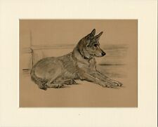 GERMAN SHEPHERD DOG ORIGINAL OLD 1937 MOUNTED ART PRINT by LUCY DAWSON MAC