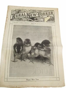 Rural New Yorker Vintage Newspaper January 4 1930 - Picture 1 of 1