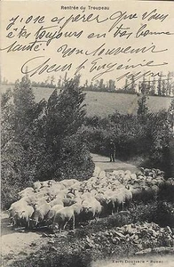 CPA Edit. Douziech - Rodez : Rentrée du TROUPEAU - 1928 - Imagen 1 de 1