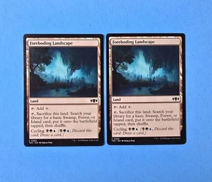 2x Foreboding Landscape Tarkir Dragonstorm Commander TDC 2025 Mtg Magic Land 365 - Bild 1 von 2