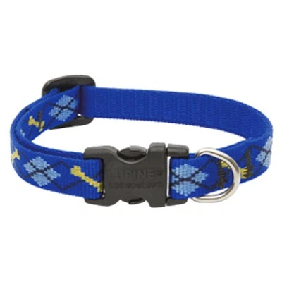 Dog Collar, Adjustable, Dapper Dog, 1/2 x 10 to 16 In. - 41835 - Image 1 of 1