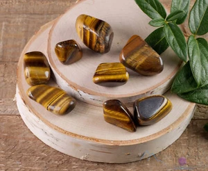 OJO DE TIGRE Cristales y piedras curativas caídas, cuidado personal, regalo único, E0558 - Imagen 1 de 3