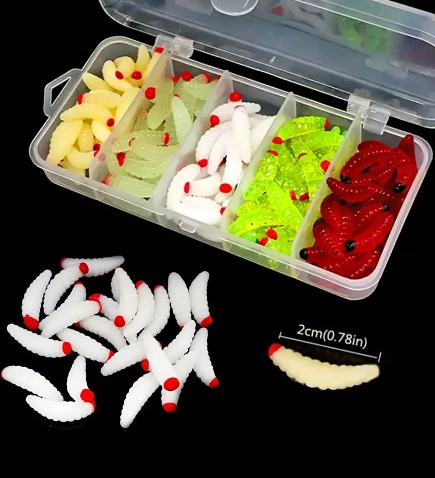 100x künstliche Bienenmaden BOX Set | SINKEND | 5 Farben | Forellenköder - Bild 1 von 1