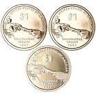 2011 P D S Native American Sacagawea Dollar Year Set Proof & BU US 3 Coin Lot
