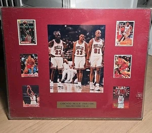 1995-96 NBA Chicago Bulls Framed Photo and Player Cards! 72-10 Season - Picture 1 of 8