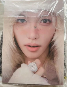 Stray Kids SKZOO Felix Pogari Beanie Knit Hat SKZ 5OCLOCK Official Poster New J - Picture 1 of 2