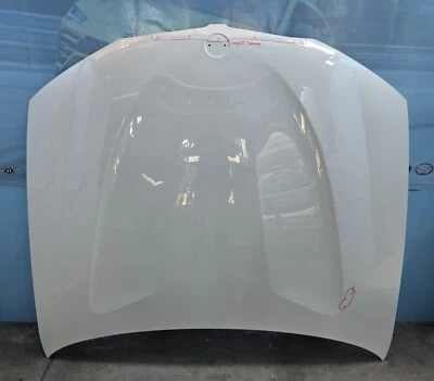 BMW X3, X4 2011 2012 2013 2014 2015 2016 2017 capó OEM usado Foto 1 de 4