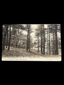 Tarjeta postal vintage de 1911 High Park Toronto Ontario Canadá - Imagen 1 de 2