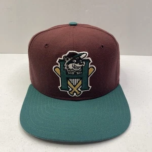 Vintage Hudson Valley Renegades New Era Dupont Visor Pro Model Snapback Hat Cap  - Picture 1 of 5