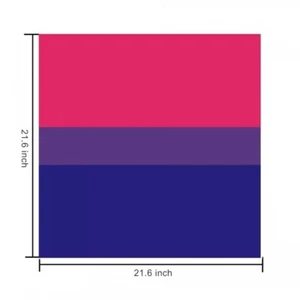 SET BESTEHEND AUS 3 PRIDE BANDANAS NEU MEHRFARBIG BANDANNAS 21 X 21 PRIDE SCHAL LGBTQ 843 - Bild 1 von 1