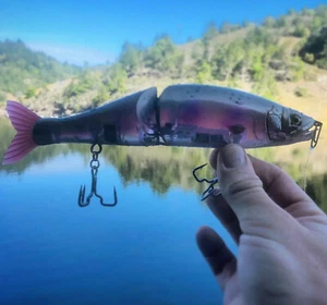 Custom Painted Glide bait Jointed Claw 230mm Magnum Premium Blank TRAPPER HOOKS - Picture 1 of 12