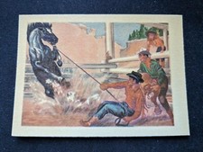 1956 Gum Inc. Adventure Card # 68 Breaking a Horse .. Cowboy Style (EX)