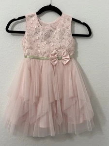 Jona Michelle Dress Tulle Pink Girls Size 4T Flower Birthday Party Easter - Picture 1 of 13