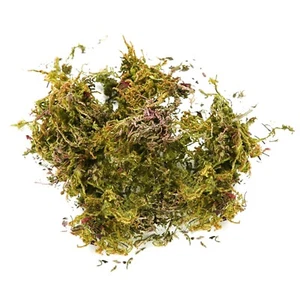 Fake Moss Artificial Moss For Potted Plants Greenery Moss Home Decor Fairy 1PC - Picture 1 of 33