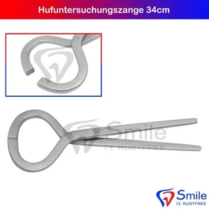 Esame Hufabtastzange Cura Dello Zoccolo Ferratura di Cavallo 34cm Strumenti - Foto 1 di 4