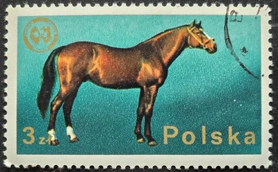 波兰 - 1968 年斯科特 #1579 波兰马品种 3zł 马邮票 — 第 1/3 张图片