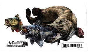 Angel Aufkleber - wasserfester Raubfisch-Beute-Aufkleber - NEU - Bild 1 von 1